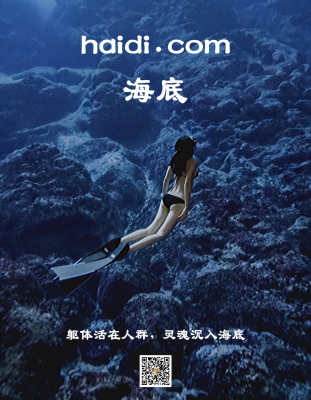 haidi.com
