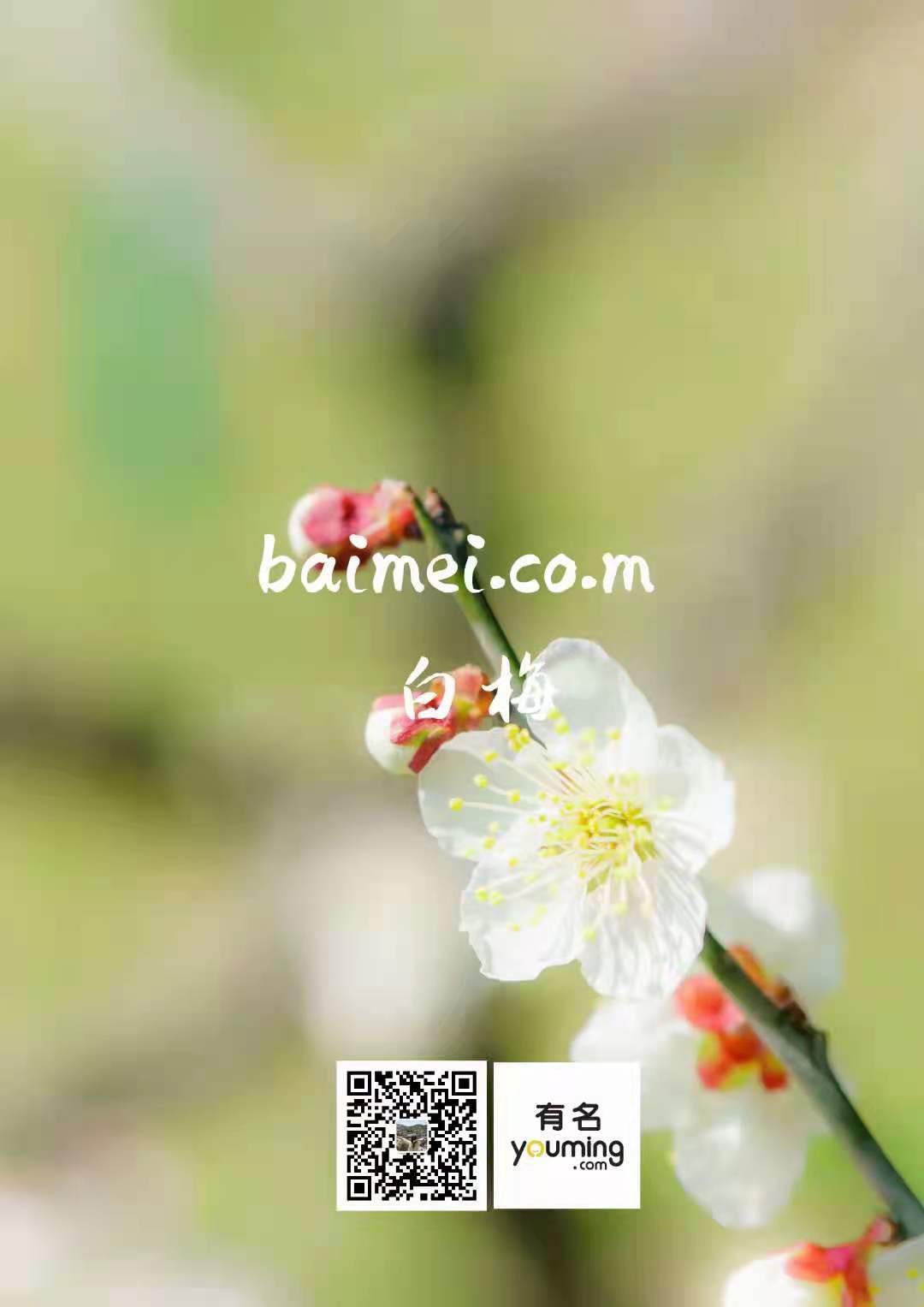 应用赏析 应用赏析